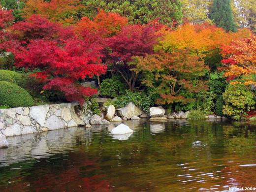 434197 (a): :2048x1536